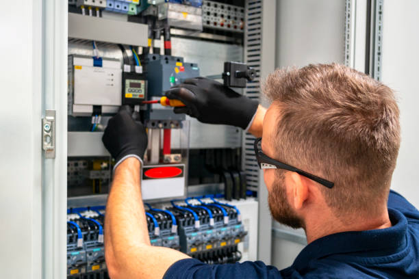 Best Electric Panel Repair  in Olympia, SC